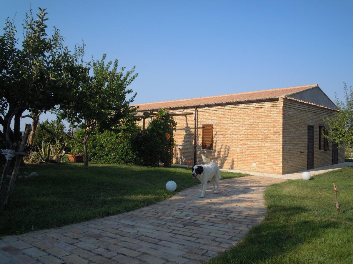 Agriturismo Piccolo Albero Loreto Aprutino Exterior foto